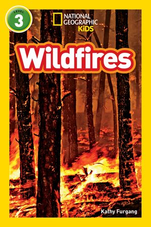 Wildfires image number 0