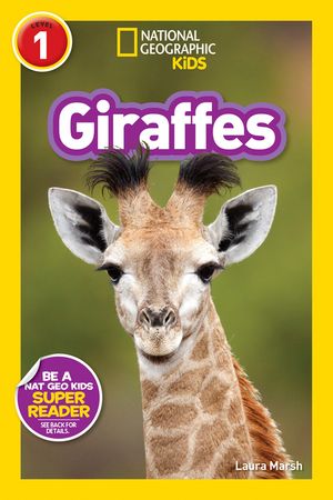 Giraffes image number 0