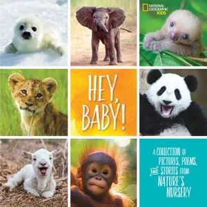 Hey, Baby!: A Collection of Pictures, Poems, and Stories from Nature's Nursery image number 0