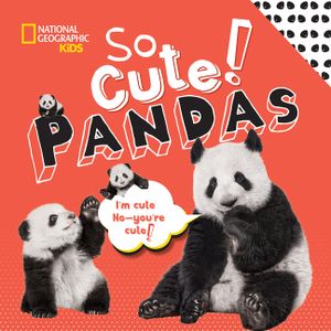 So Cute! Pandas image number 0