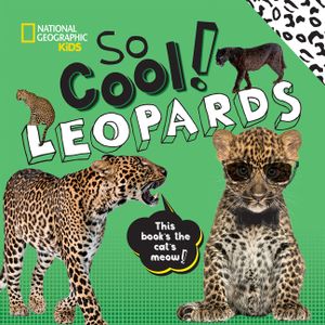 So Cool! Leopards image number 0