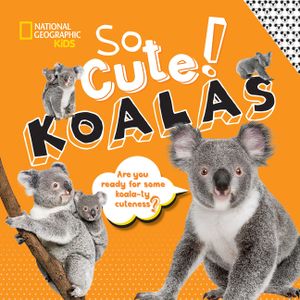 So Cute!: Koalas image number 0