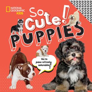 So Cute! Puppies image number 0
