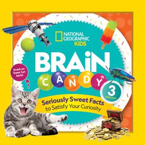 Brain Candy 3 image number 0