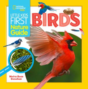 Birds image number 0