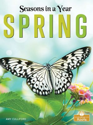 Spring image number 0