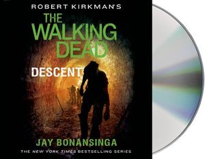 Descent image number 0