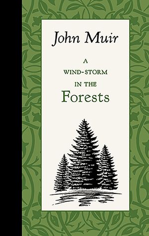 A Wind-Storm in the Forests image number 0