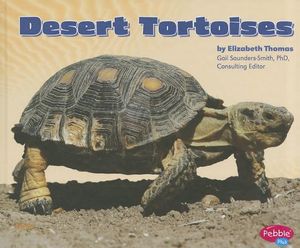 Desert Tortoises image number 0