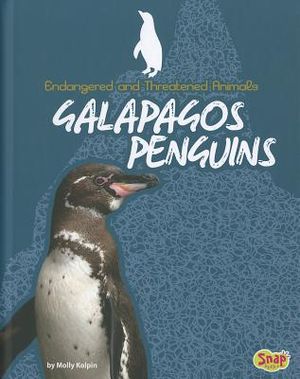 Galapagos Penguins image number 0