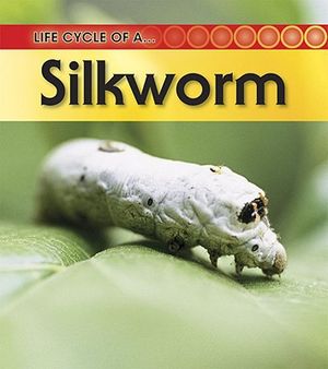 Silkworm image number 0