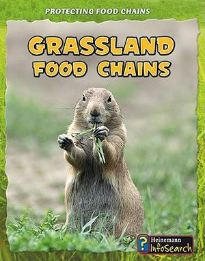 Grassland Food Chains image number 0