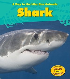 Shark image number 0