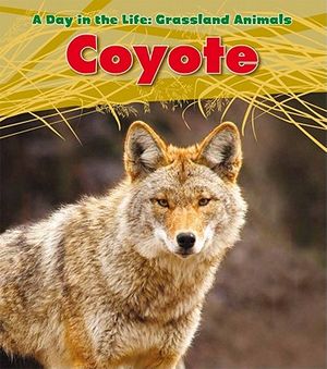 Coyote image number 0