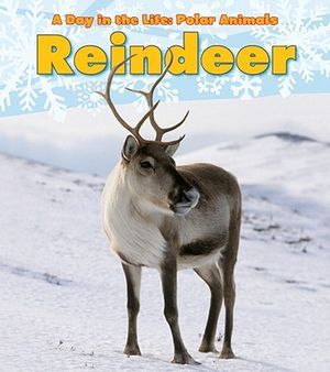 Reindeer image number 0