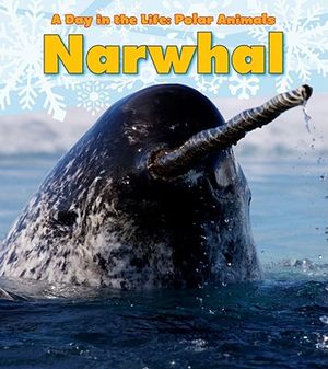 Narwhal image number 0