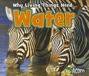 Water image number 0