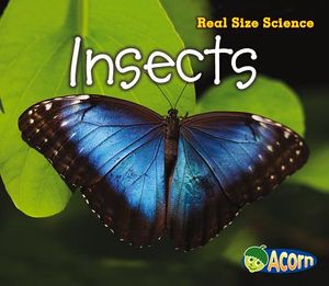 Insects image number 0