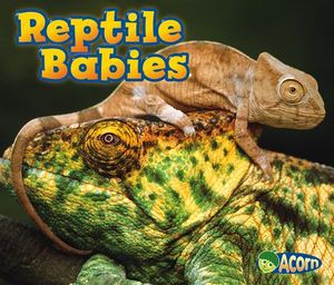 Reptile Babies image number 0