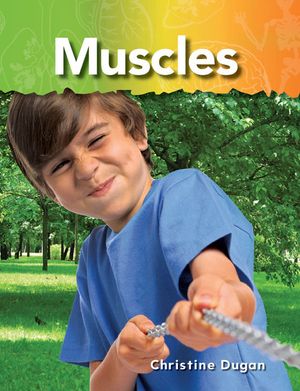 Muscles image number 0