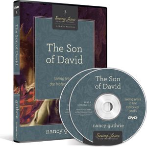The Son of David DVD, 3: Seeing Jesus in the Historical Books image number 0