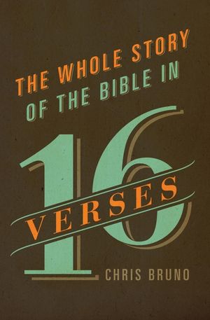 The Whole Story of the Bible in 16 Verses image number 0