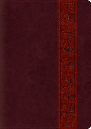 Study Bible-ESV-Large Print Trellis Design image number 0