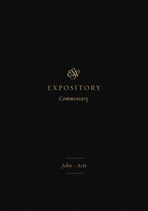 ESV Expository Commentary (Volume 9): John-Acts image number 0