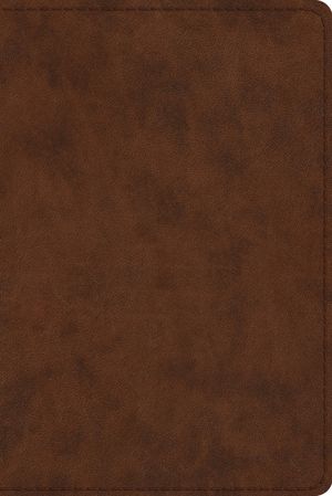 Study Bible-ESV-Personal Size image number 0