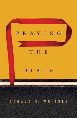 Praying the Bible image number 0
