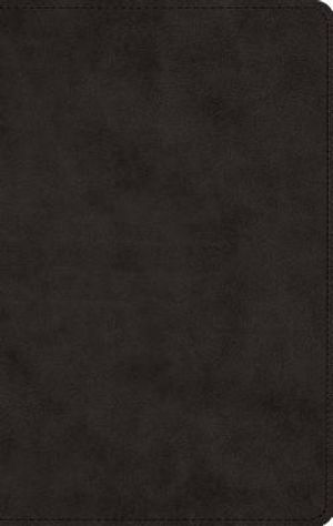 Men's Devotional Bible-ESV image number 0