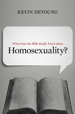 What Does the Bible Really Teach about Homosexuality? image number 0