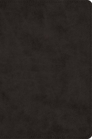 Large Print Bible-ESV image number 0