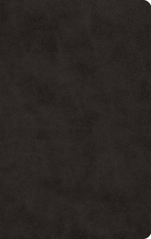 ESV Large Print Value Thinline Bible (Trutone, Black) image number 0