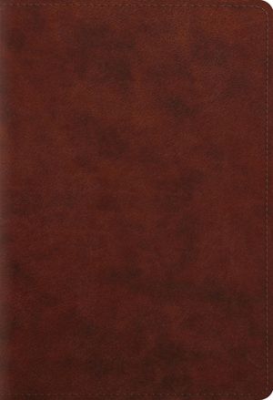 ESV Student Study Bible (Trutone, Chestnut) image number 0