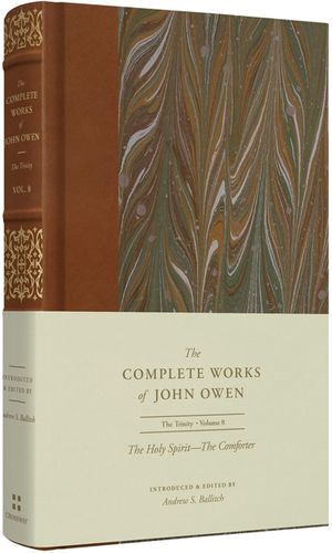 The Holy Spirit--The Comforter (Volume 8) image number 0