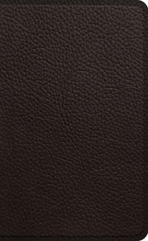 ESV Pocket Bible image number 0
