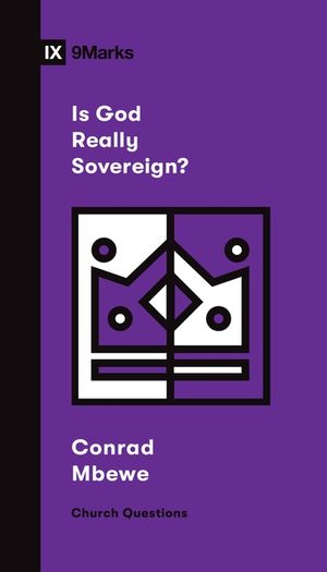 Is God Really Sovereign? image number 0
