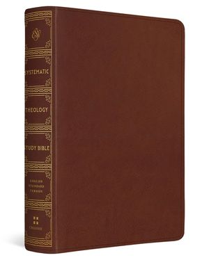 ESV Systematic Theology Study Bible: Theology Rooted in the Word of God (Trutone, Chestnut) image number 0