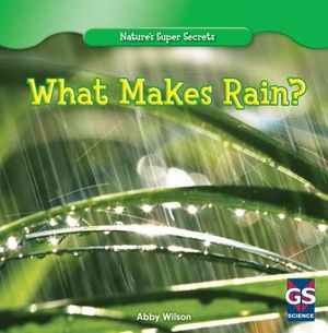 What Makes Rain? image number 0