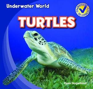 Turtles image number 0