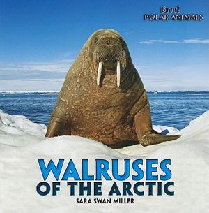 Walruses of the Arctic image number 0