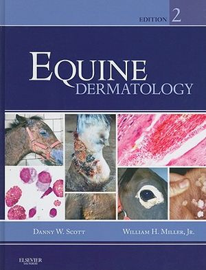 Equine Dermatology image number 0