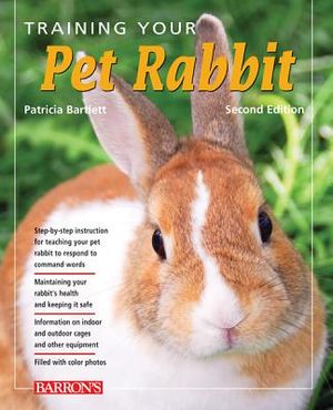 Training Your Pet Rabbit image number 0