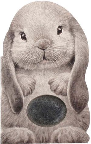 Furry Bunny image number 0
