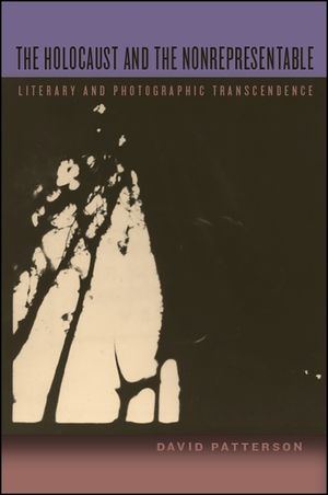 The Holocaust and the Nonrepresentable image number 0