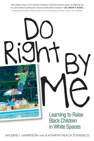 Do Right by Me: Learning to Raise Black Children in White Spaces image number 0