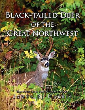 Black-Tailed Deer of the Great Northwest image number 0