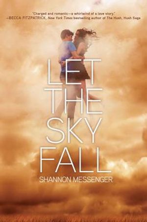Let the Sky Fall image number 0