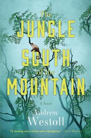 The Jungle South of the Mountain image number 0